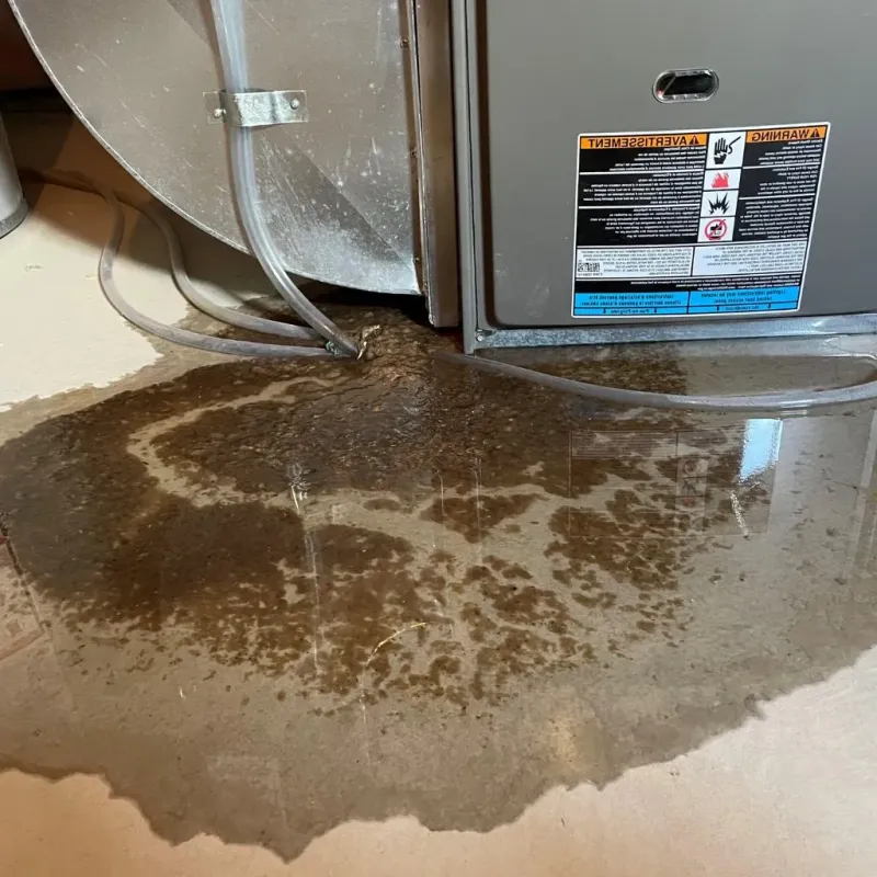 Pipe Burst and Leak Restoration in Morehead, KY